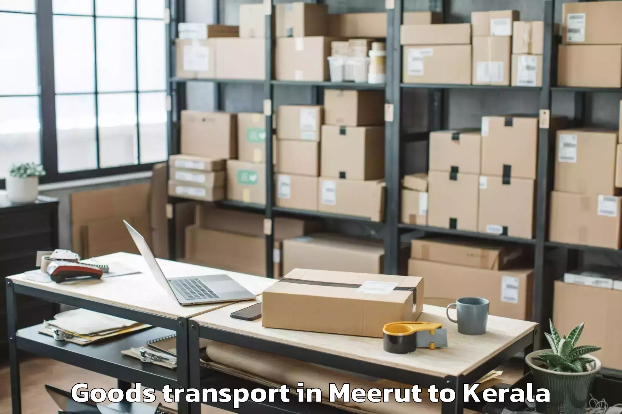 Quality Meerut to Nallepilly Goods Transport